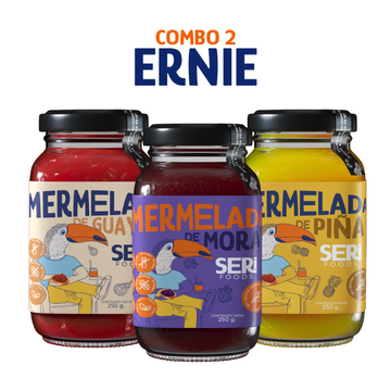 Combo 2 – ERNIE